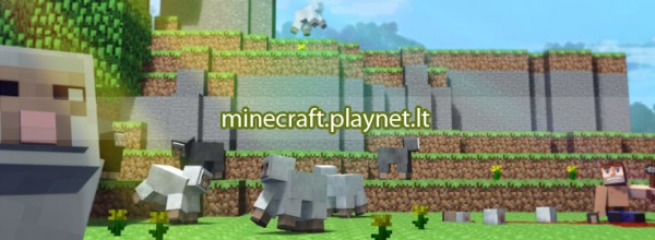 Minecraft serveris